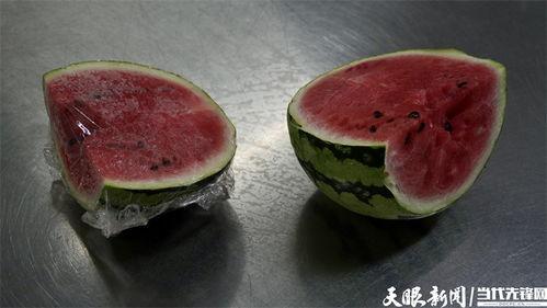 娱乐吃菌瓜,探寻娱乐与美食的完美融合  第2张